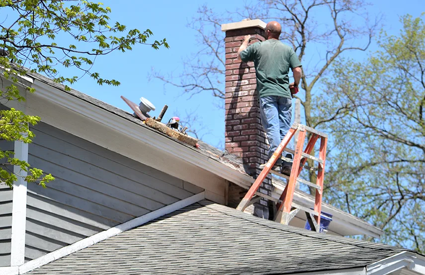 Chimney & Fireplace Inspections Services in Alexandria, VA