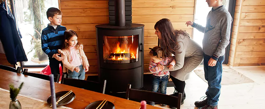 Jøtul Gas Fireplace Inspection Service in Alexandria, Virginia